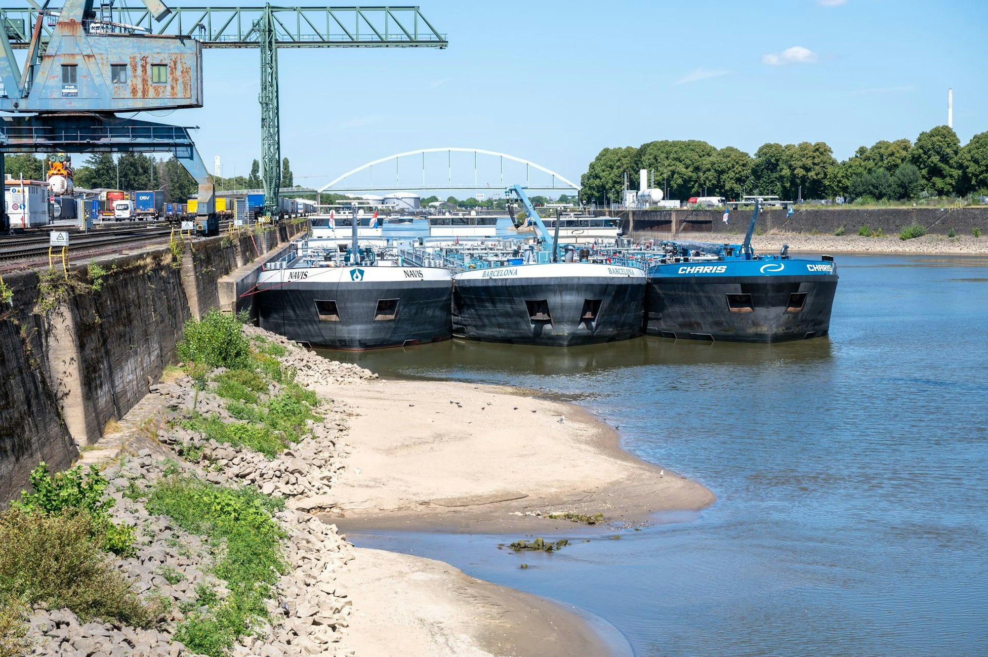 hafen niehl