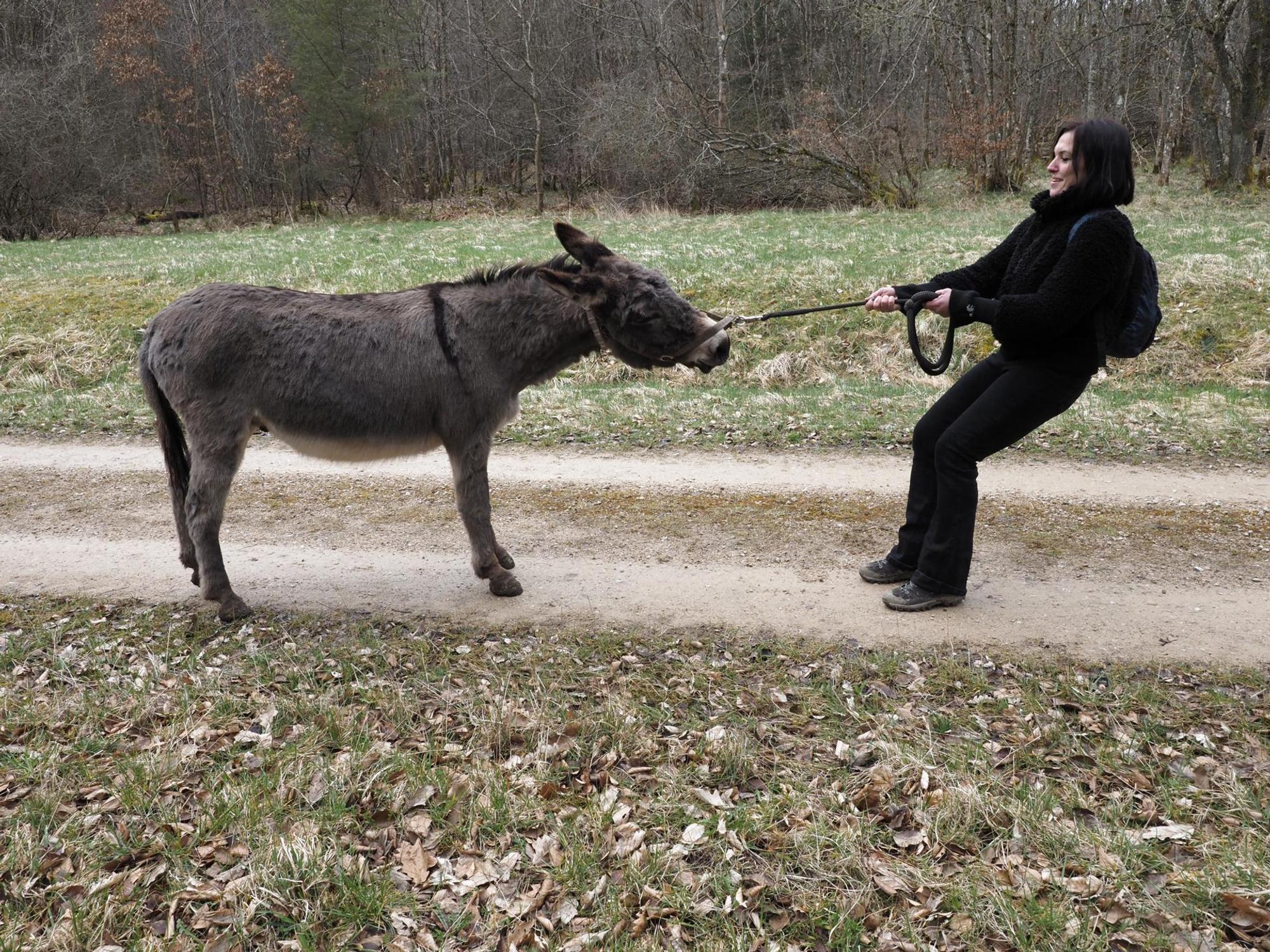 Neuer Inhalt