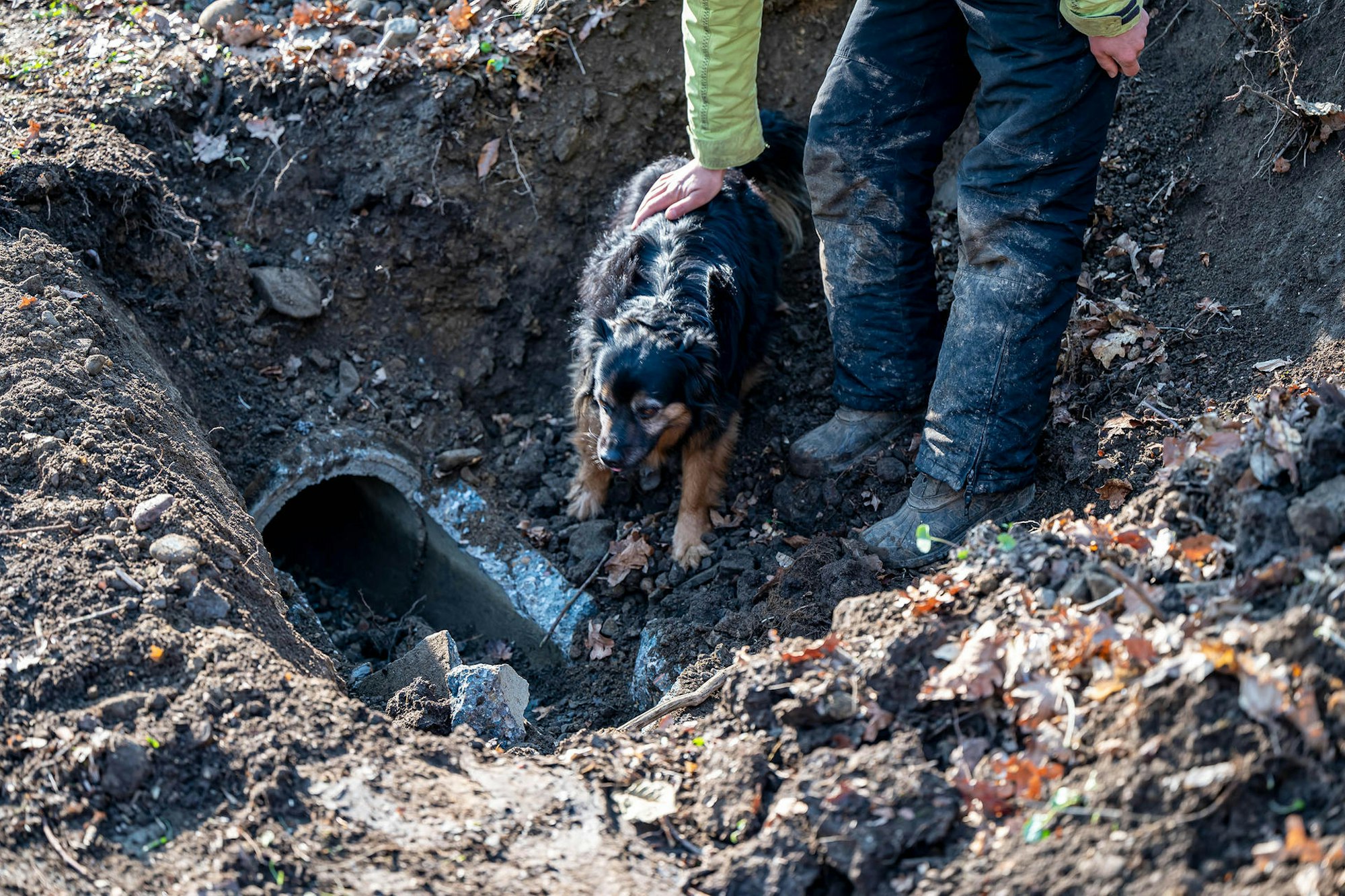 2022-03-24_Wipperfürth_Hunderettung_3
