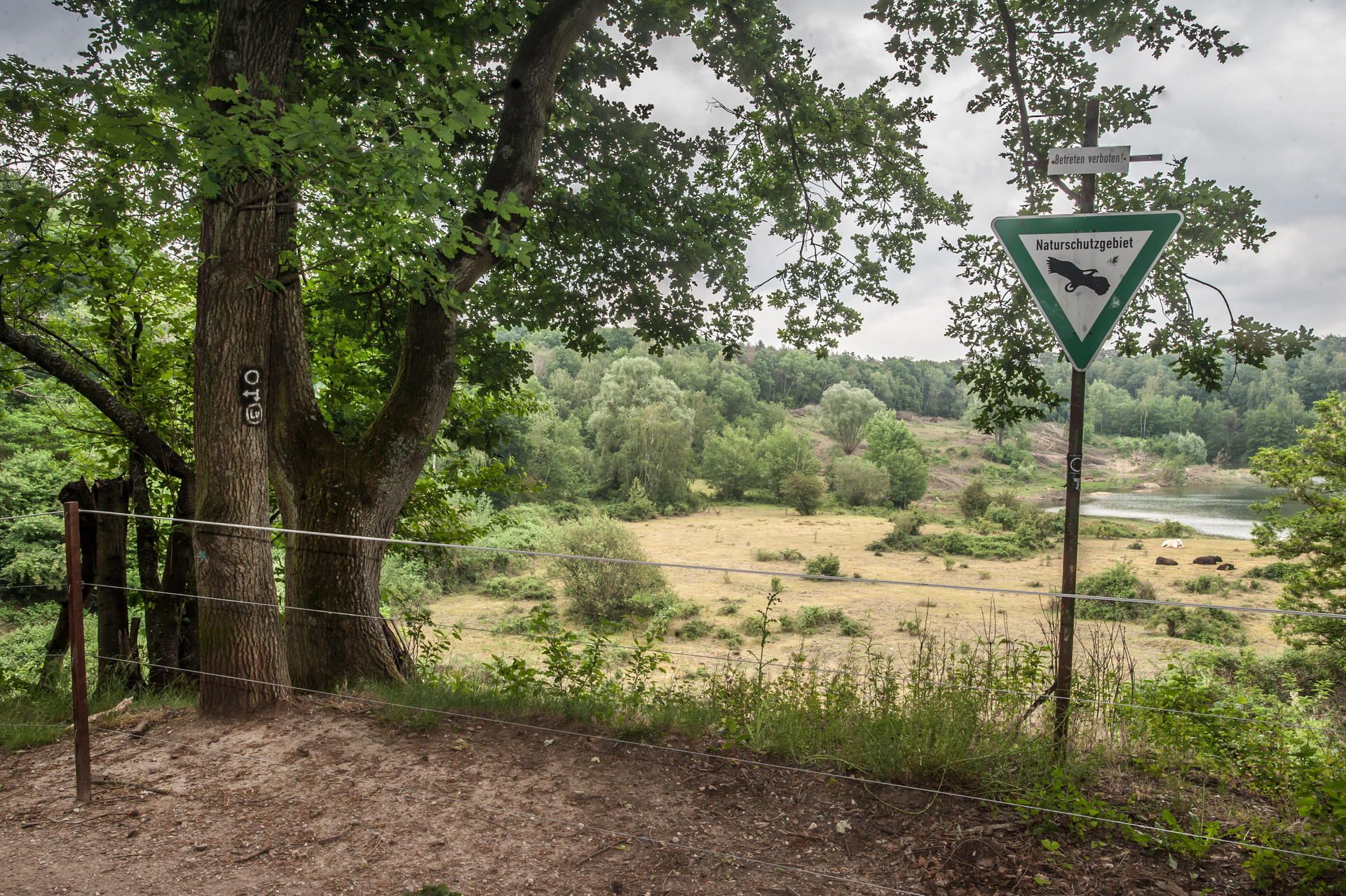 leverkusen-hornpottweg-naturschutzgebiet-ALF_2578