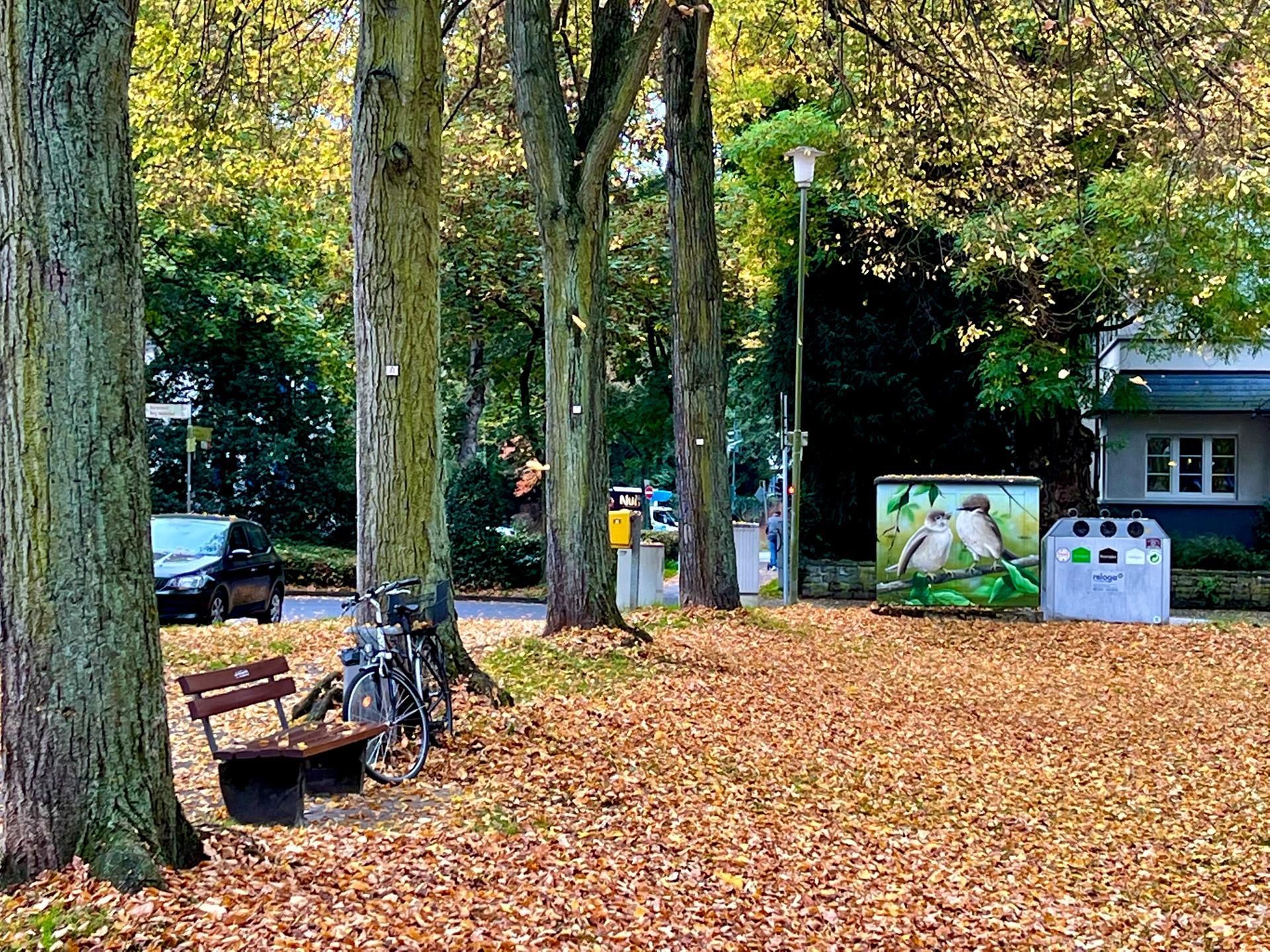 le-Rennbaumplatz