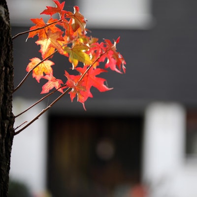 GL_Missbrauch_Wohnhaus_8872