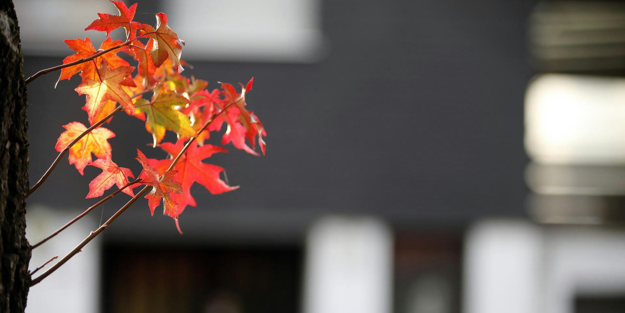 GL_Missbrauch_Wohnhaus_8872