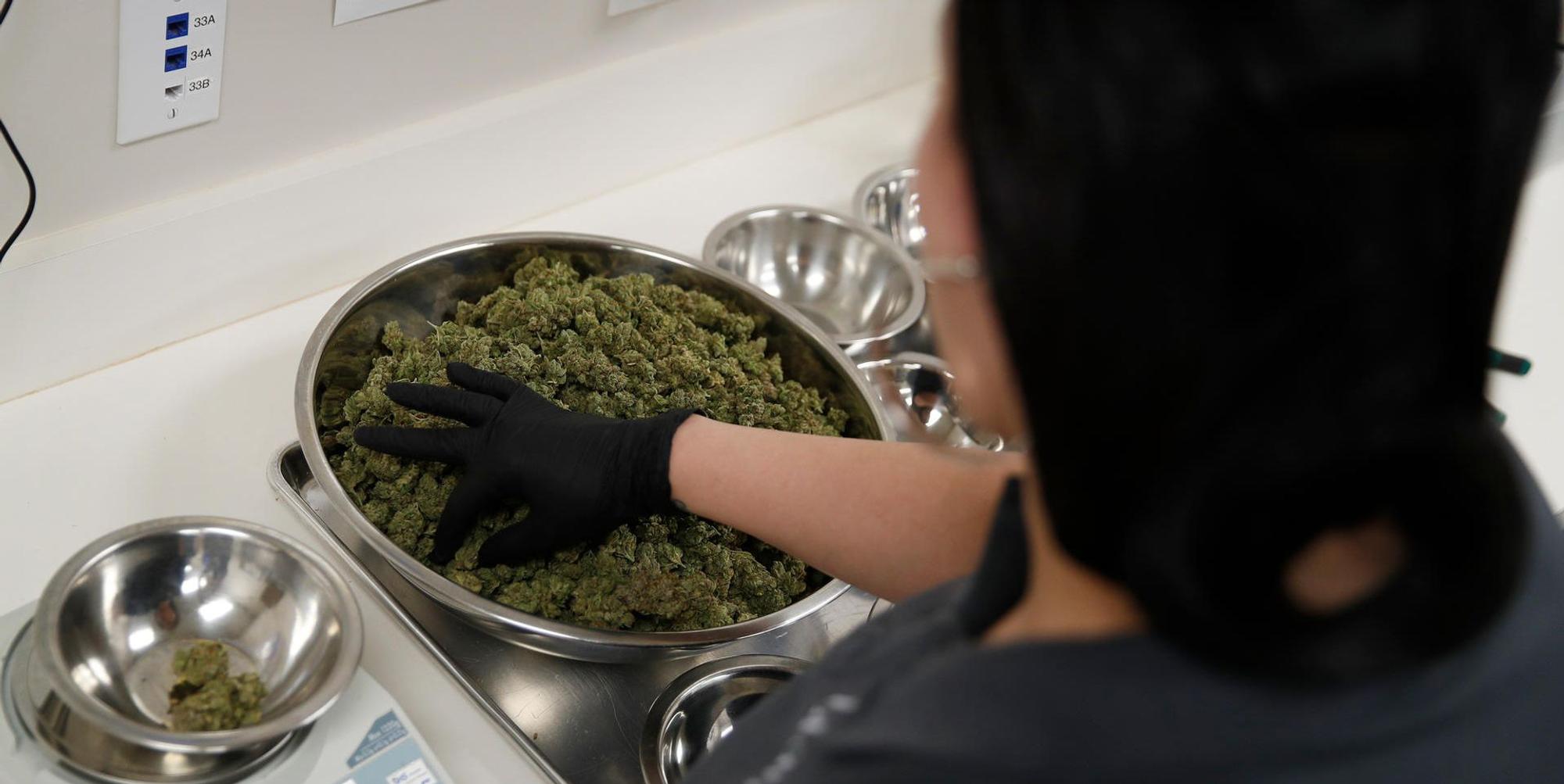 Cannabis Apotheke Medizin
