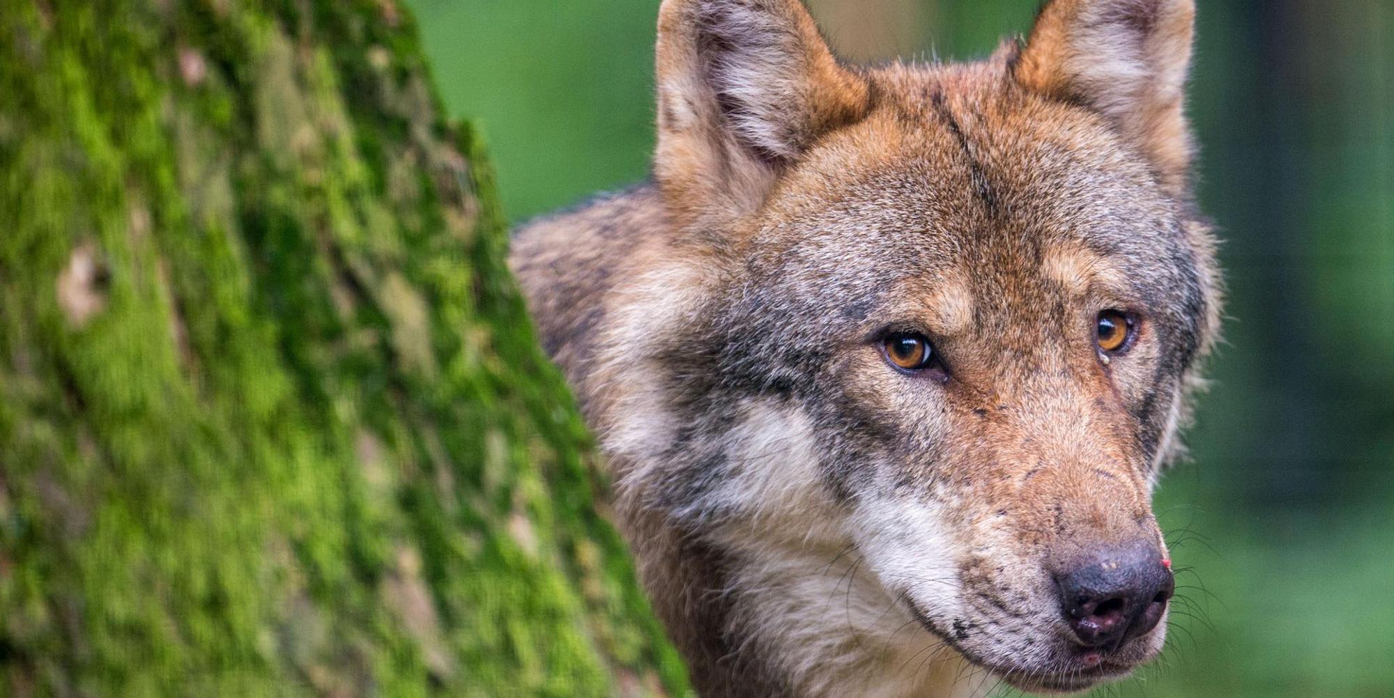5F9F06002D2FCAC1