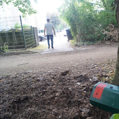 Kerpen Rattenplage_001