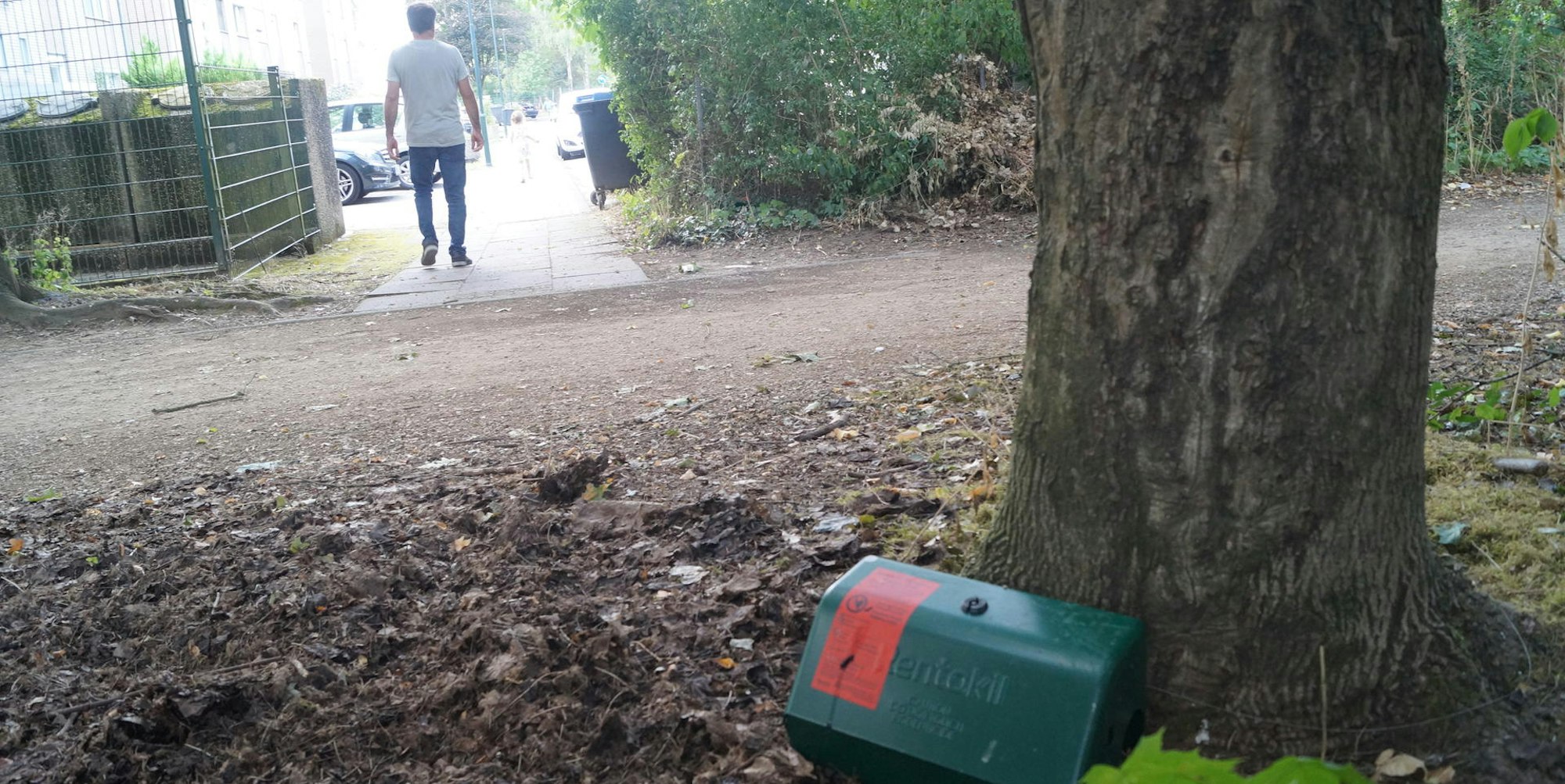 Kerpen Rattenplage_001