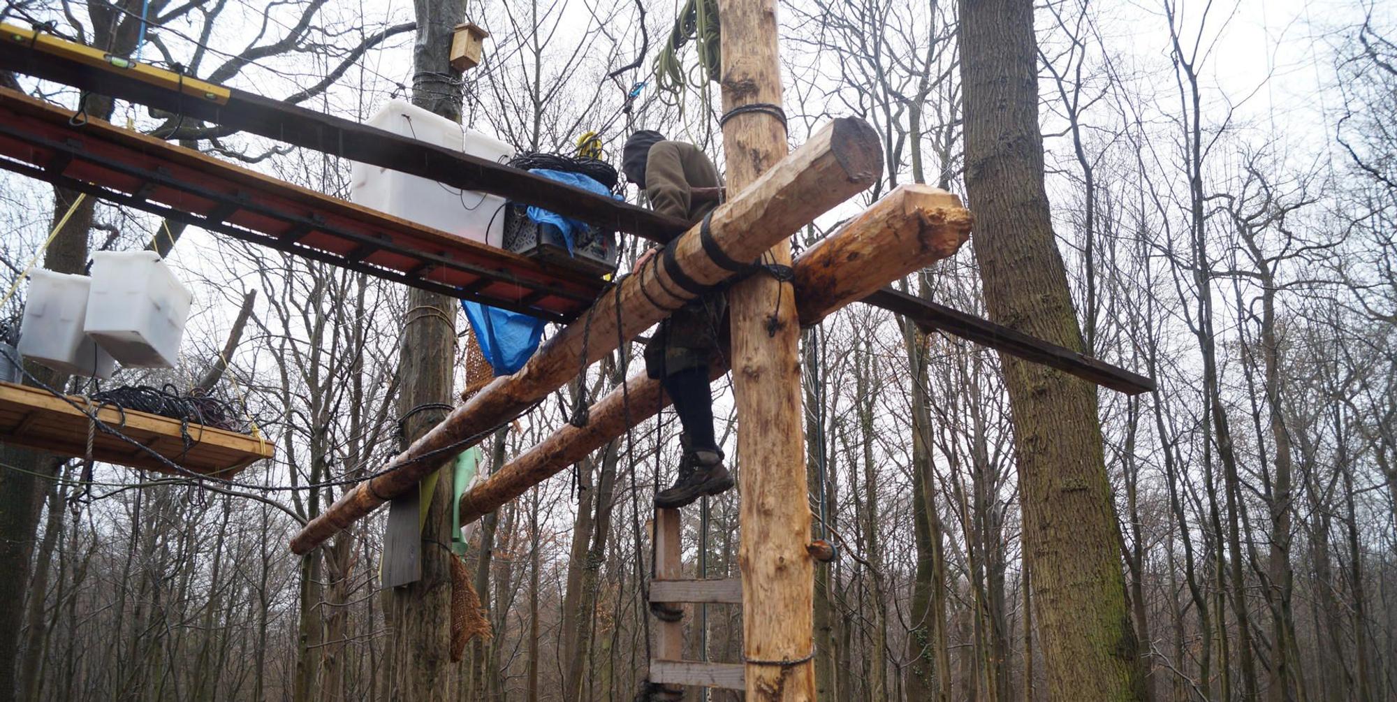 Hambacher Forst