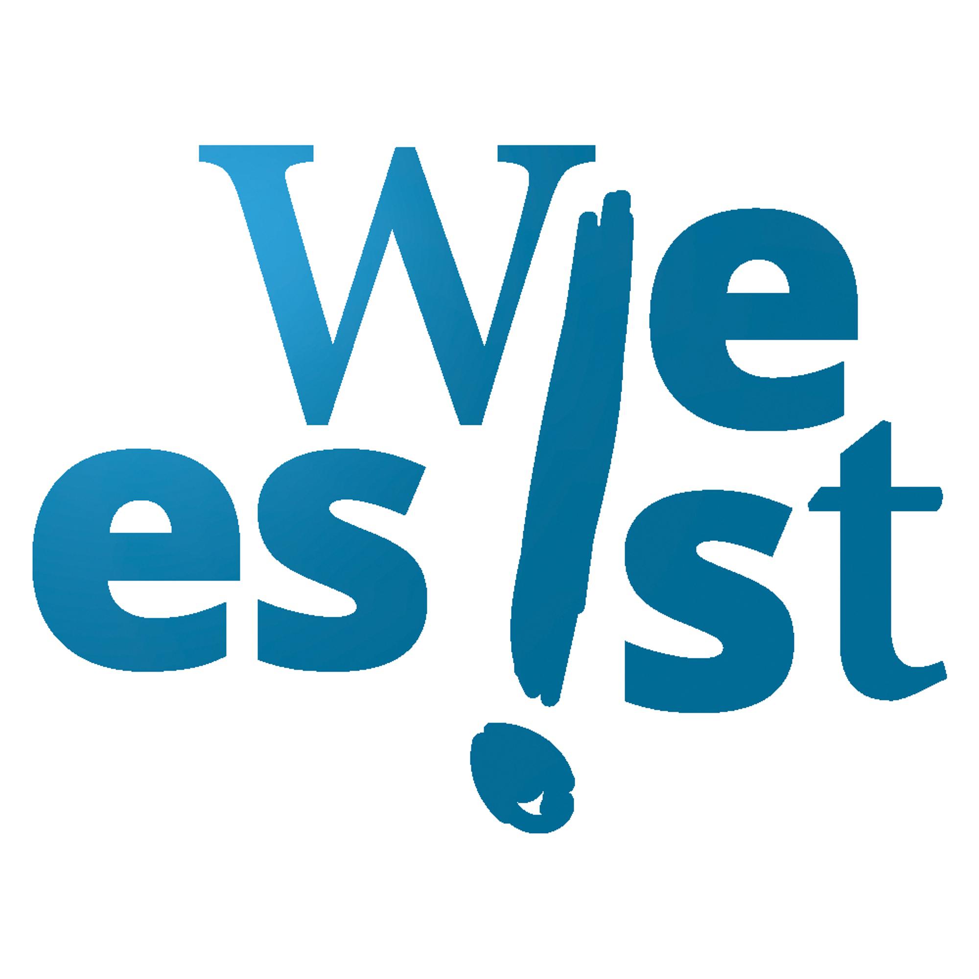 Logo „Wie es ist:“ – Die Serie