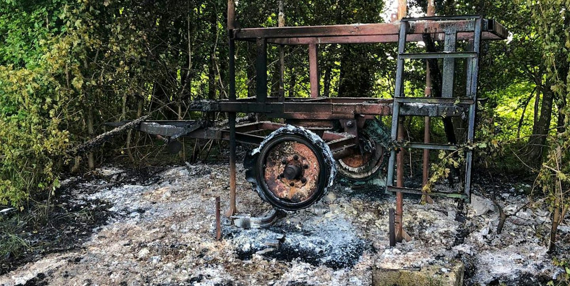 20220511-ber-abgebrannter-hochsitz-c-kipshagen