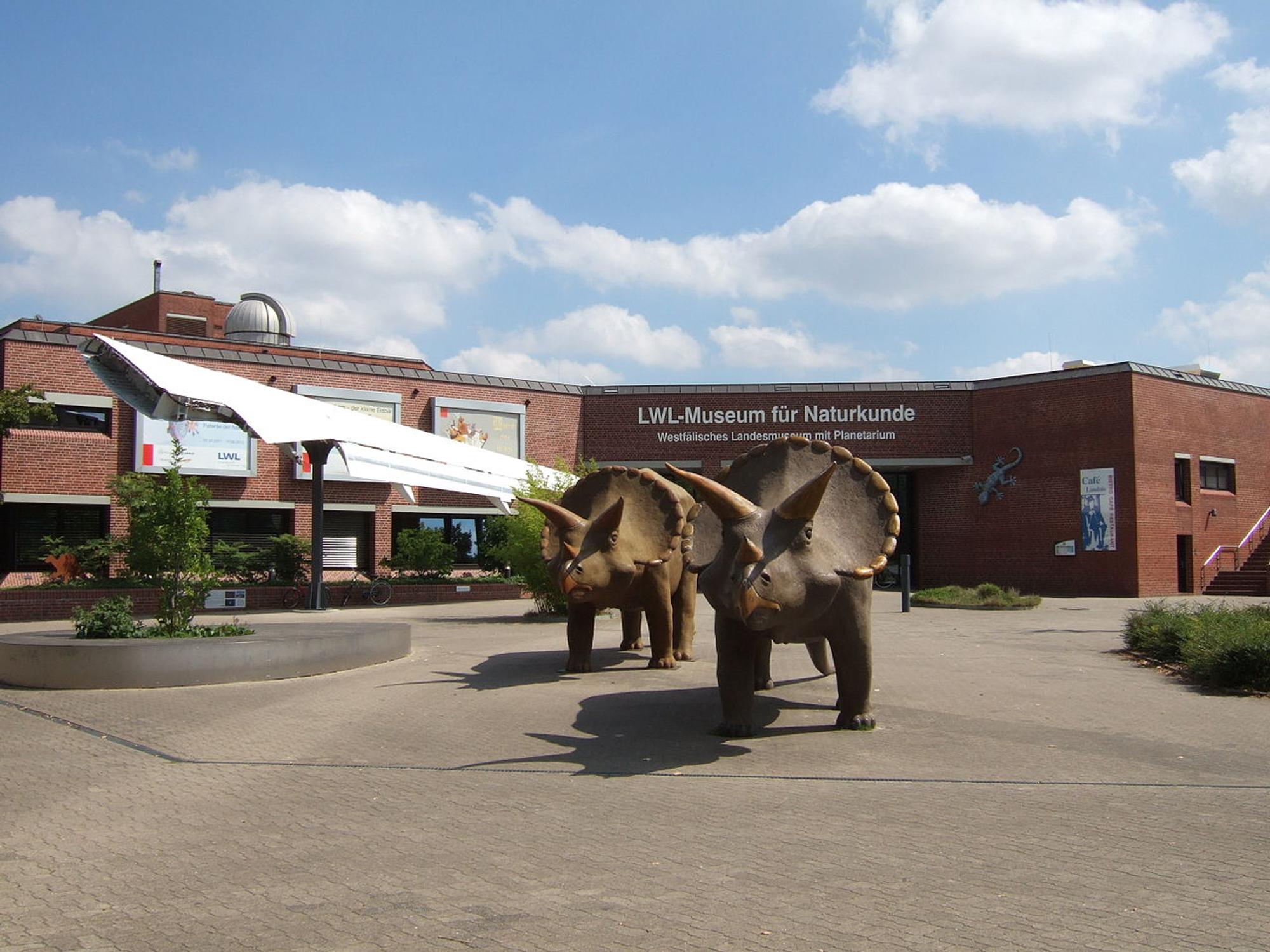 LWL-Museums_für_Naturkunde Schuetze 1988 CC 3.0