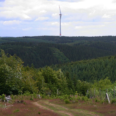 Windpark Dahlem