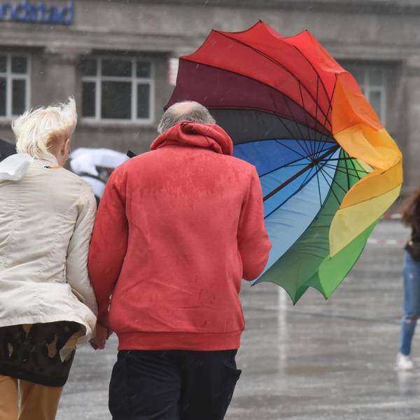 Sturm Regenschirm Schwaiger