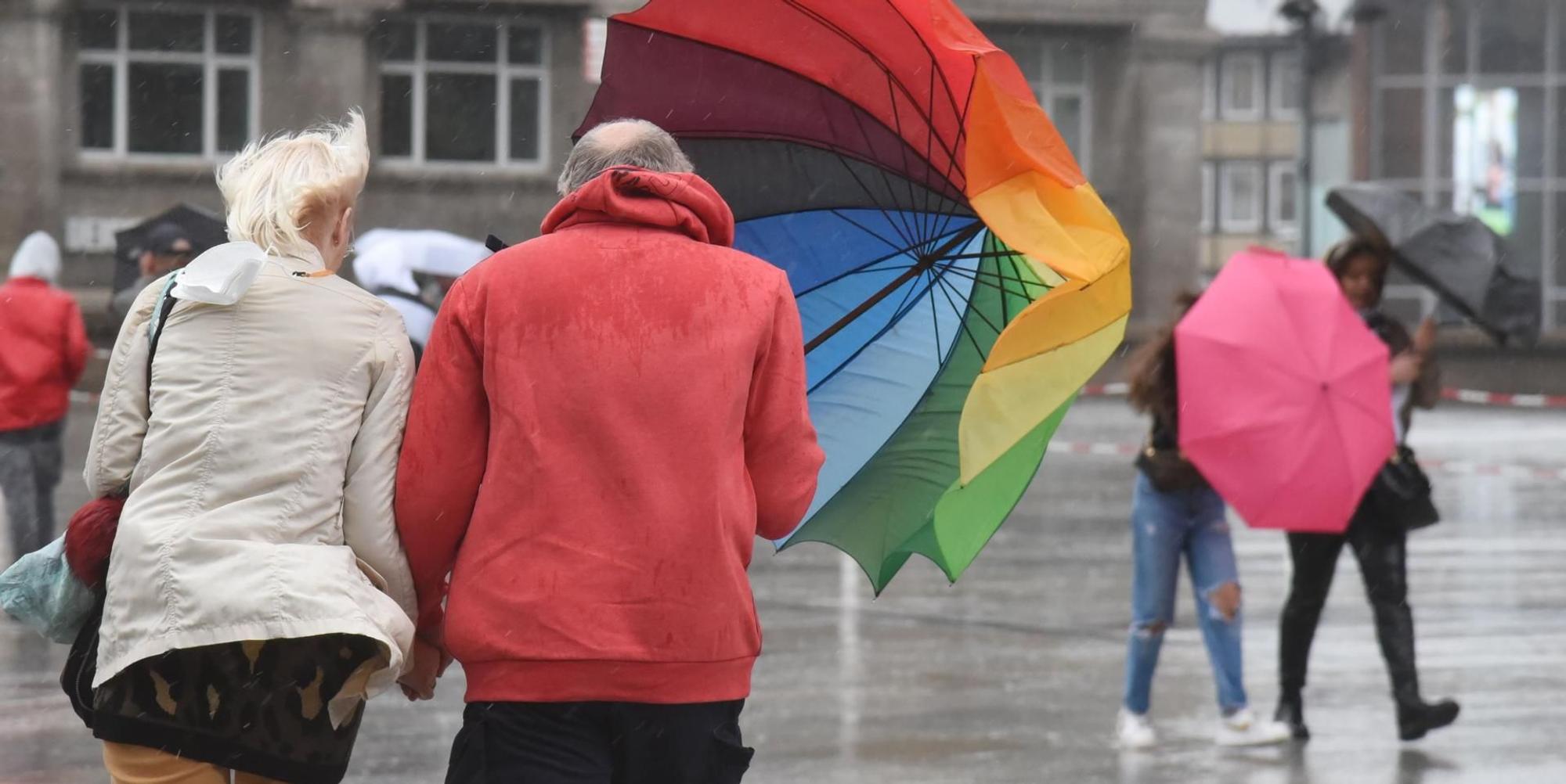 Sturm Regenschirm Schwaiger