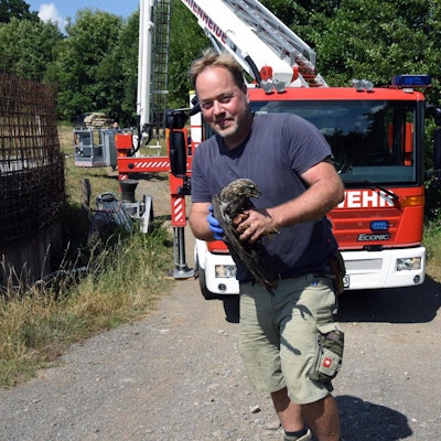 20220816_ds_Greifvogel_RettungAusGuellebecken_Breidenbach_Lindlar1