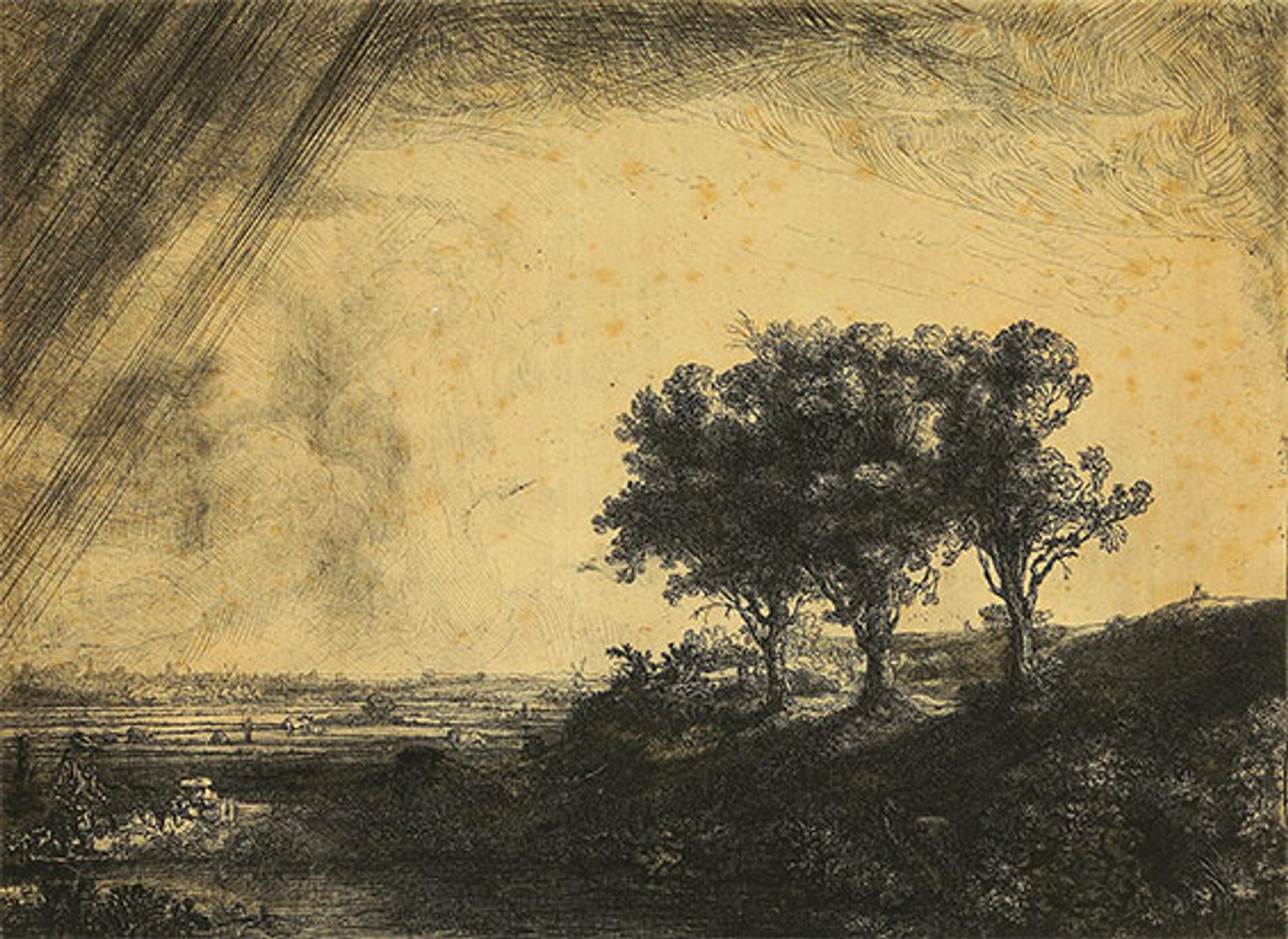 rembrandt-wallraf-565