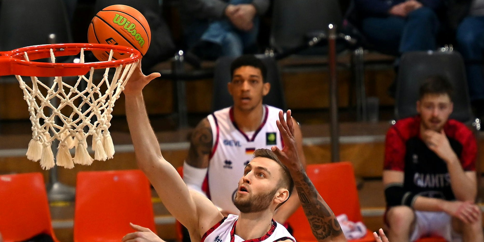 Marco Bacak