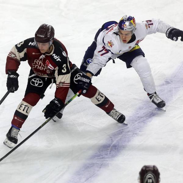Haie München Bopp