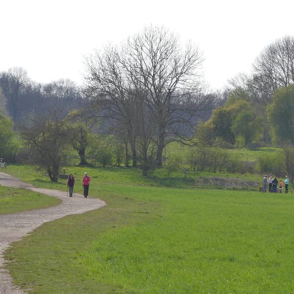 roes-gruenguertel-001