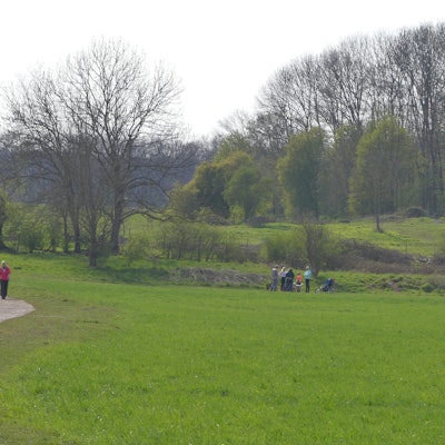 roes-gruenguertel-001