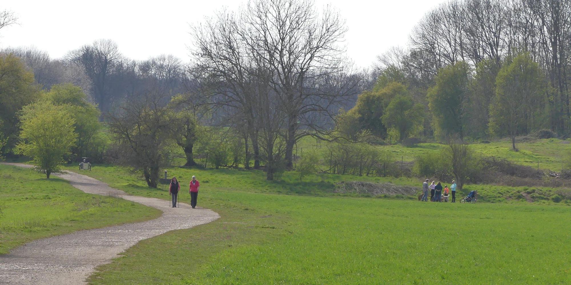roes-gruenguertel-001