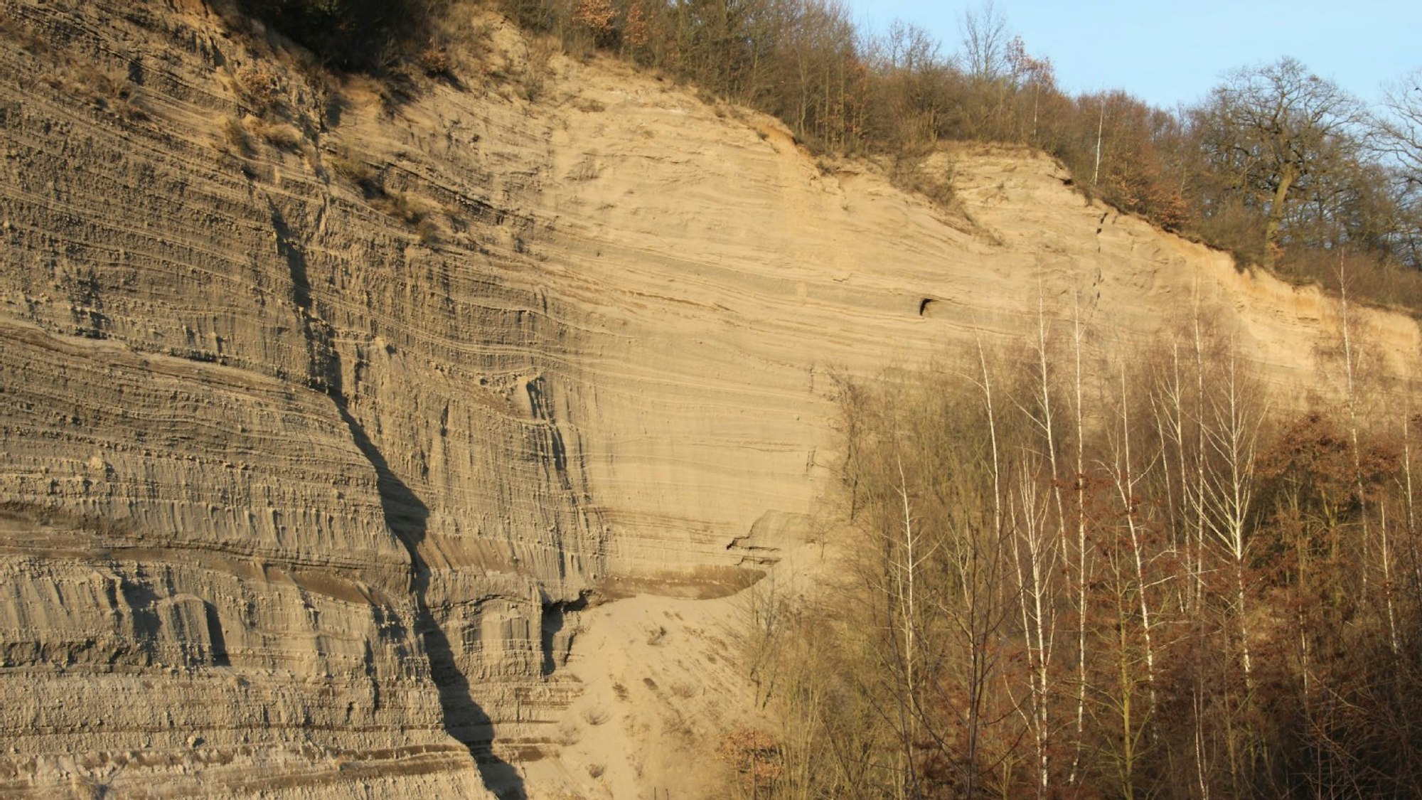 Tuffsteinwand: Wingertsbergwand
