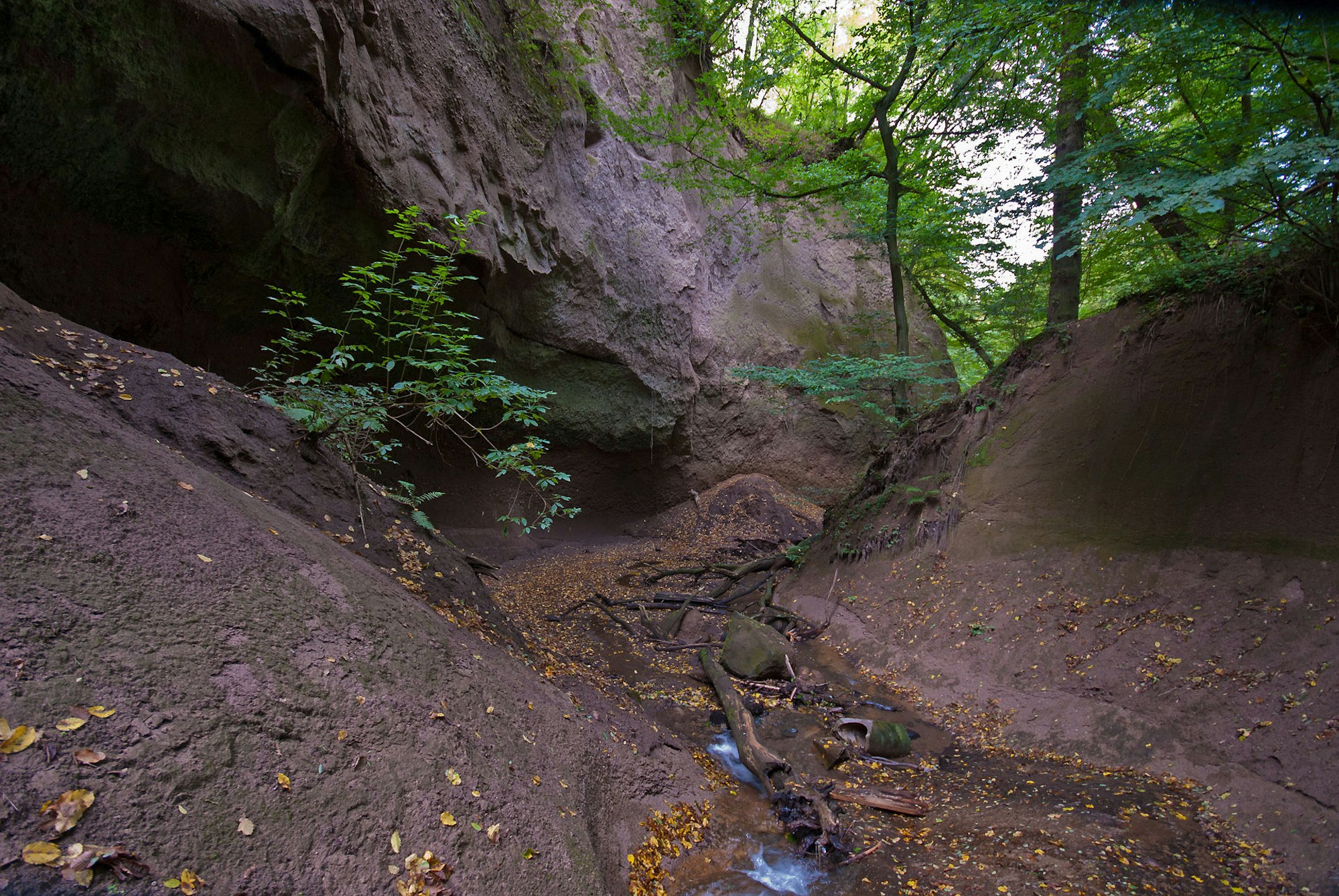 Woflsschlucht_Tönissteiner_Bach_1