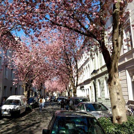 heerstrasse2_pix