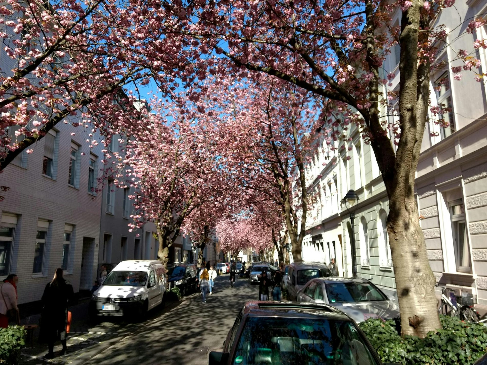 heerstrasse2_pix