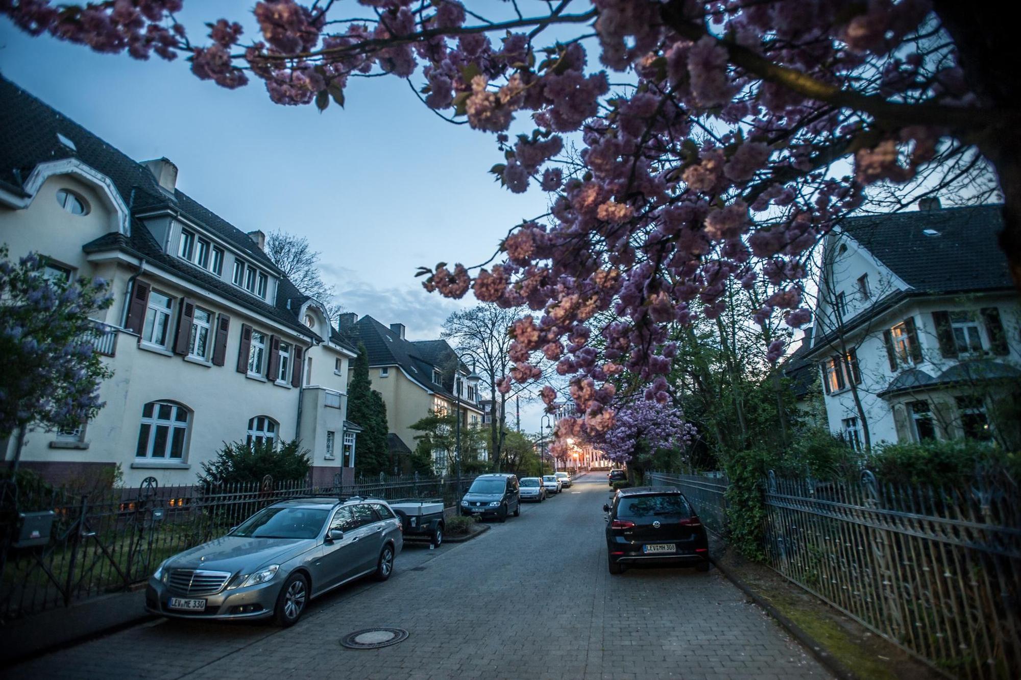 beamtenkolonie_abends_rar_rle_04142022ALF_4916