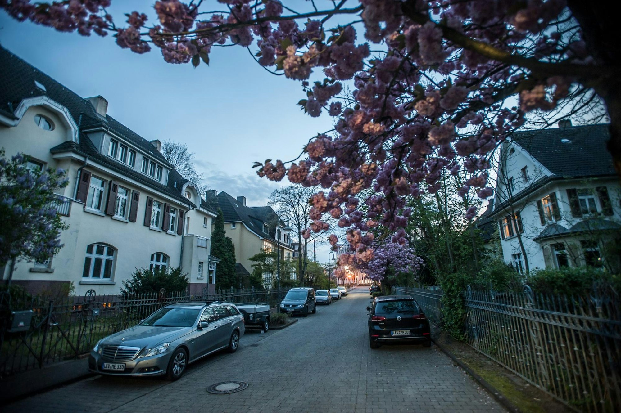 beamtenkolonie_abends_rar_rle_04142022ALF_4916