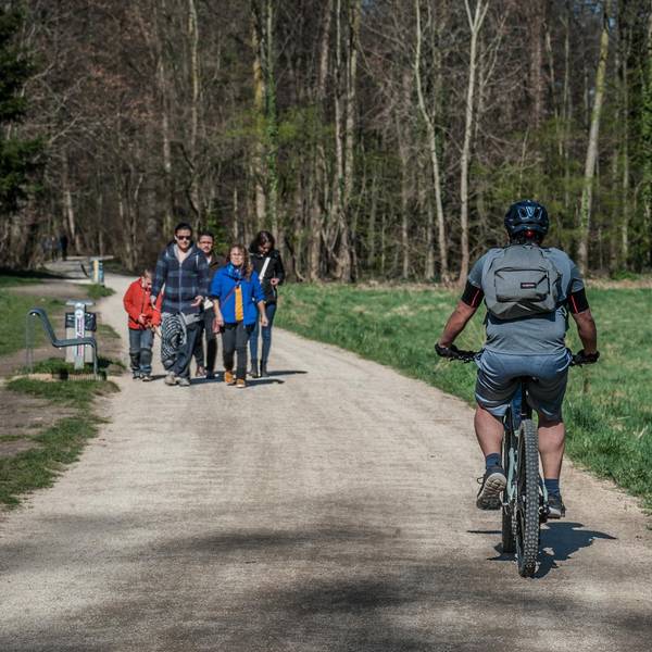 radweg-restaurierung_rar_rle_03192022ALF_2714