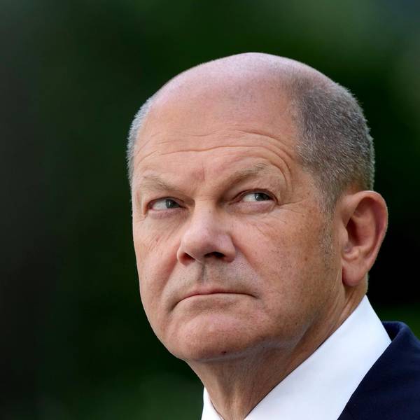 Startup Neffen Scholz pleite