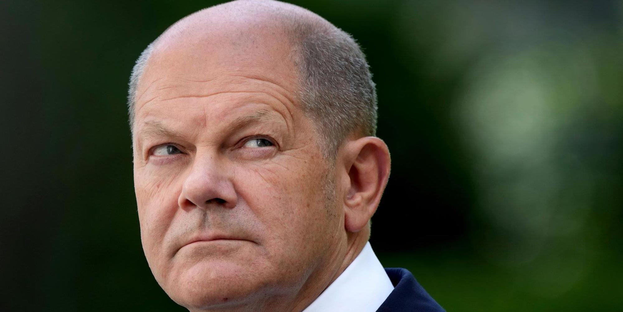 Startup Neffen Scholz pleite