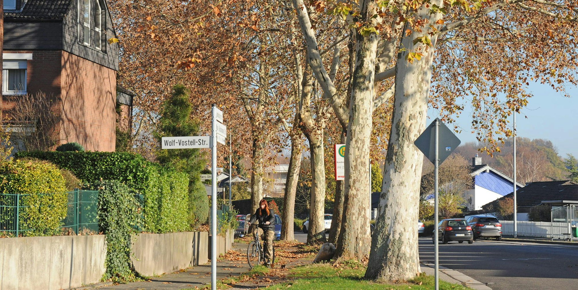 le-kandinskystrasze-baeume