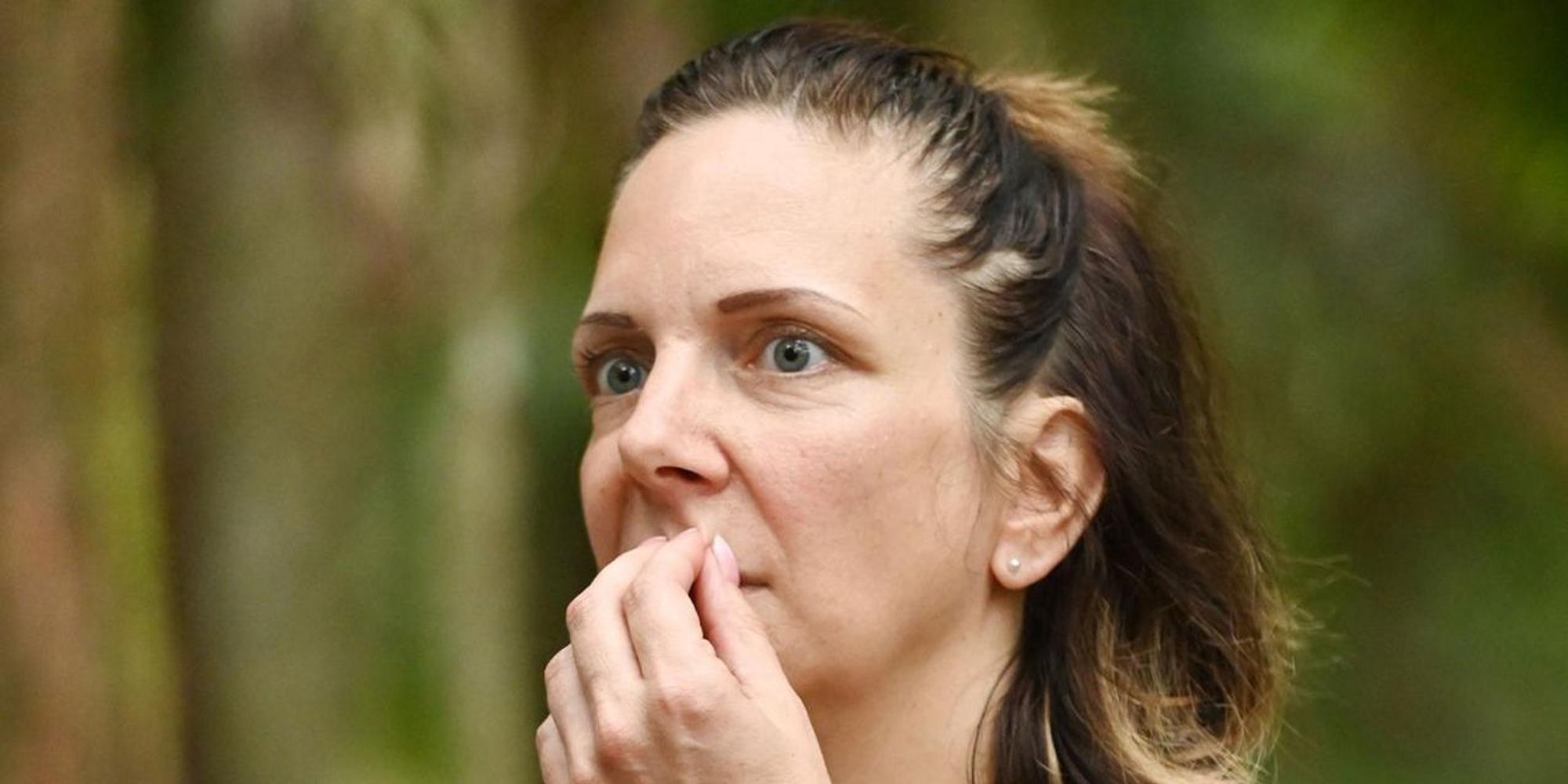 IBES 11 Danni
