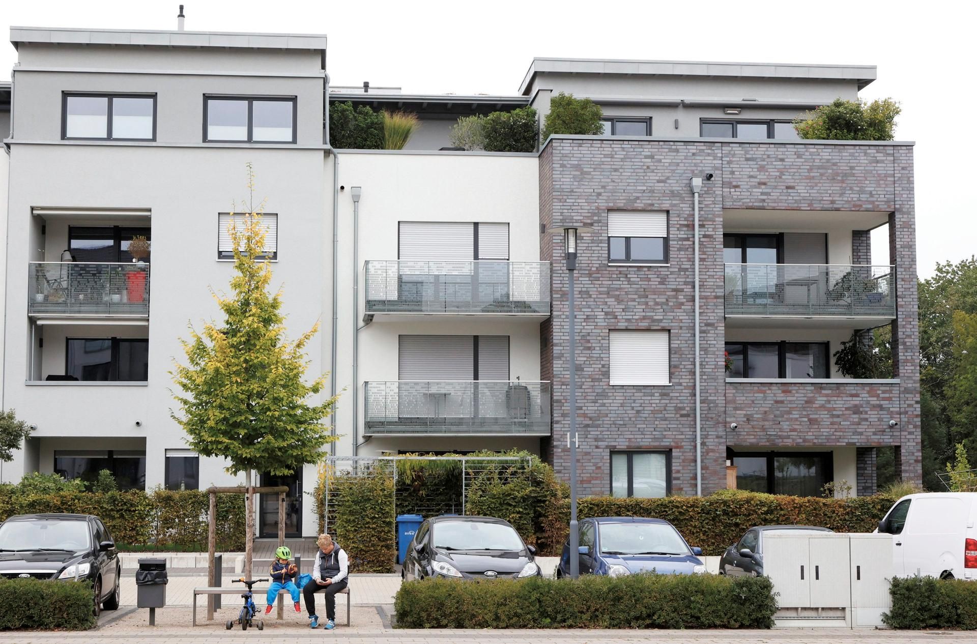 Gebäudegrün Lützenkirchen_001