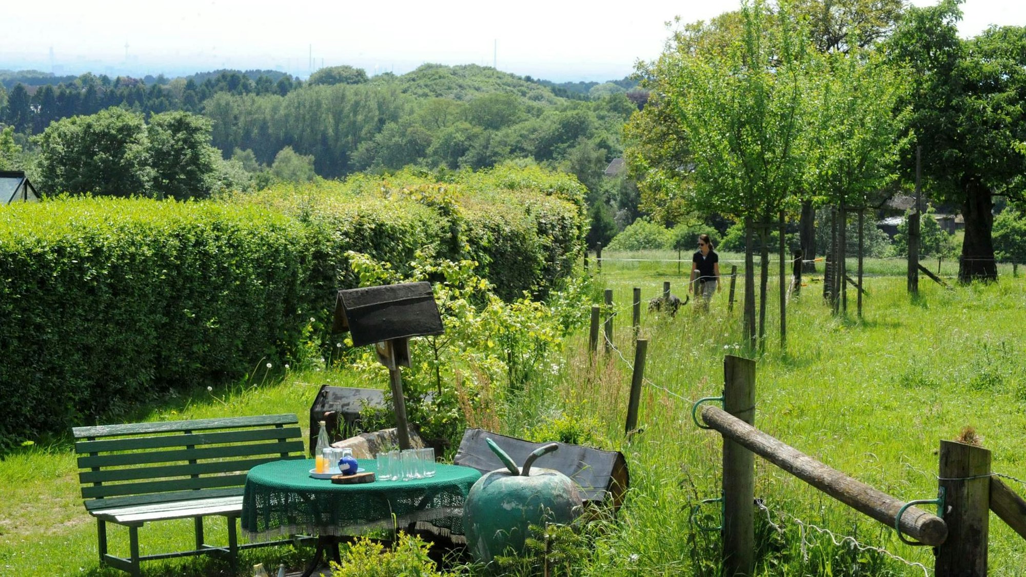 Bak und Tisch neben einer Weide mit Obstbäumen