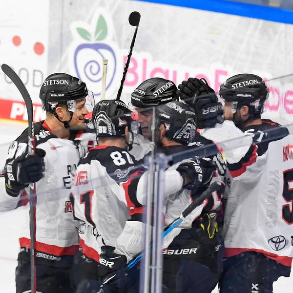 Kölner Haie gegen Krefeld Pingui
