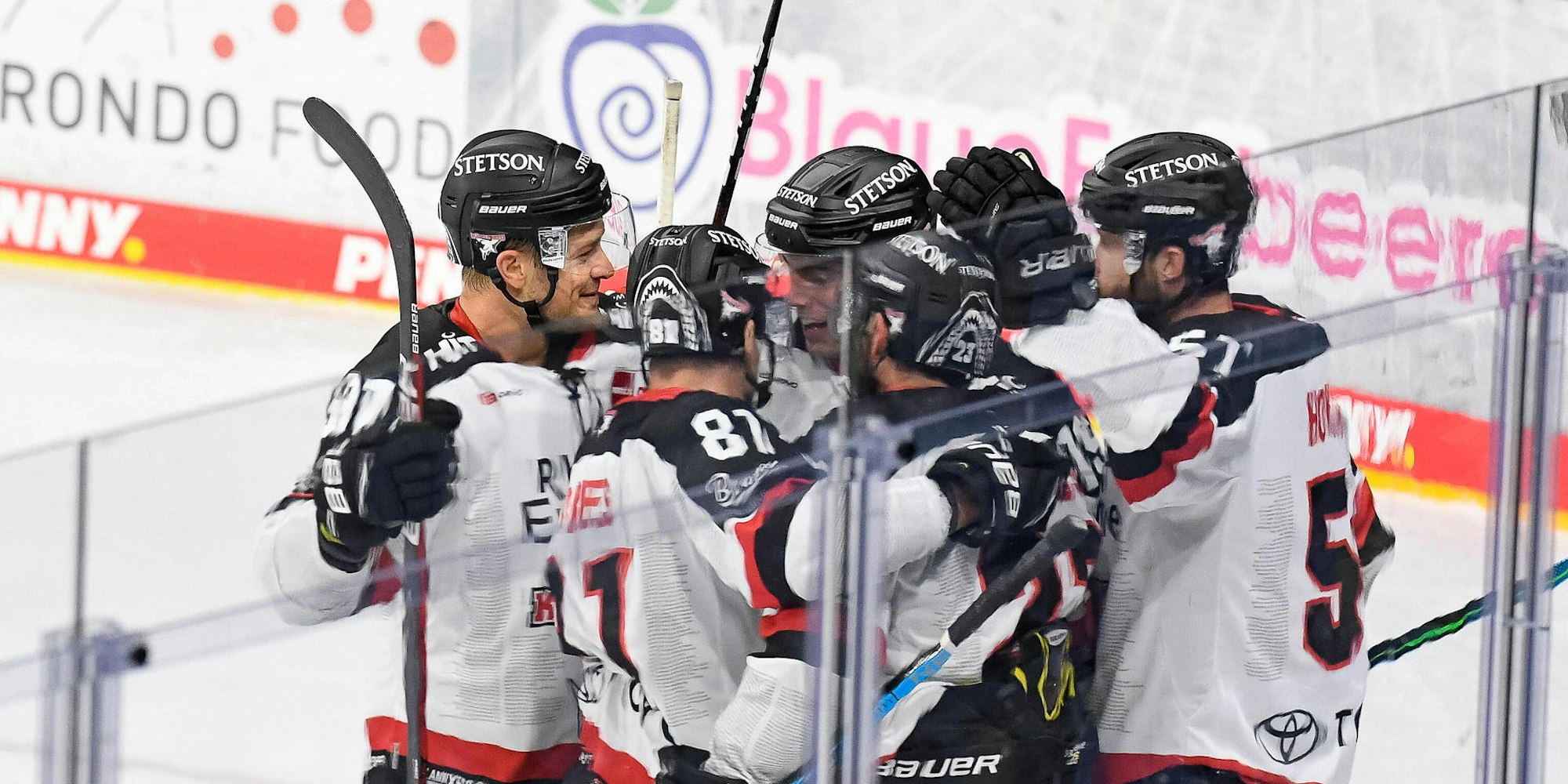 Kölner Haie gegen Krefeld Pingui