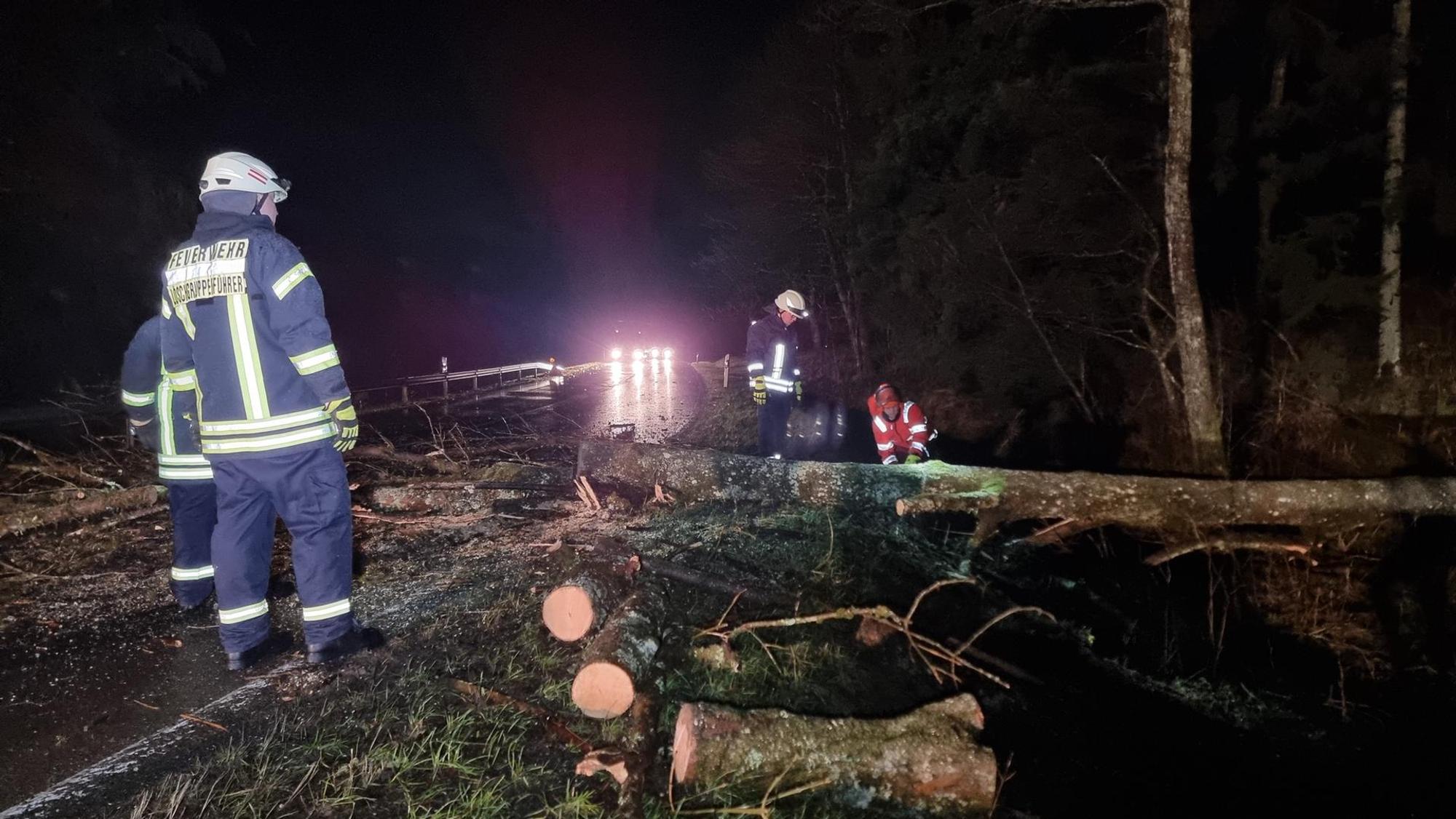 Sturm Sauerland Baum