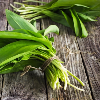 BärlauchGettyImages-469441598