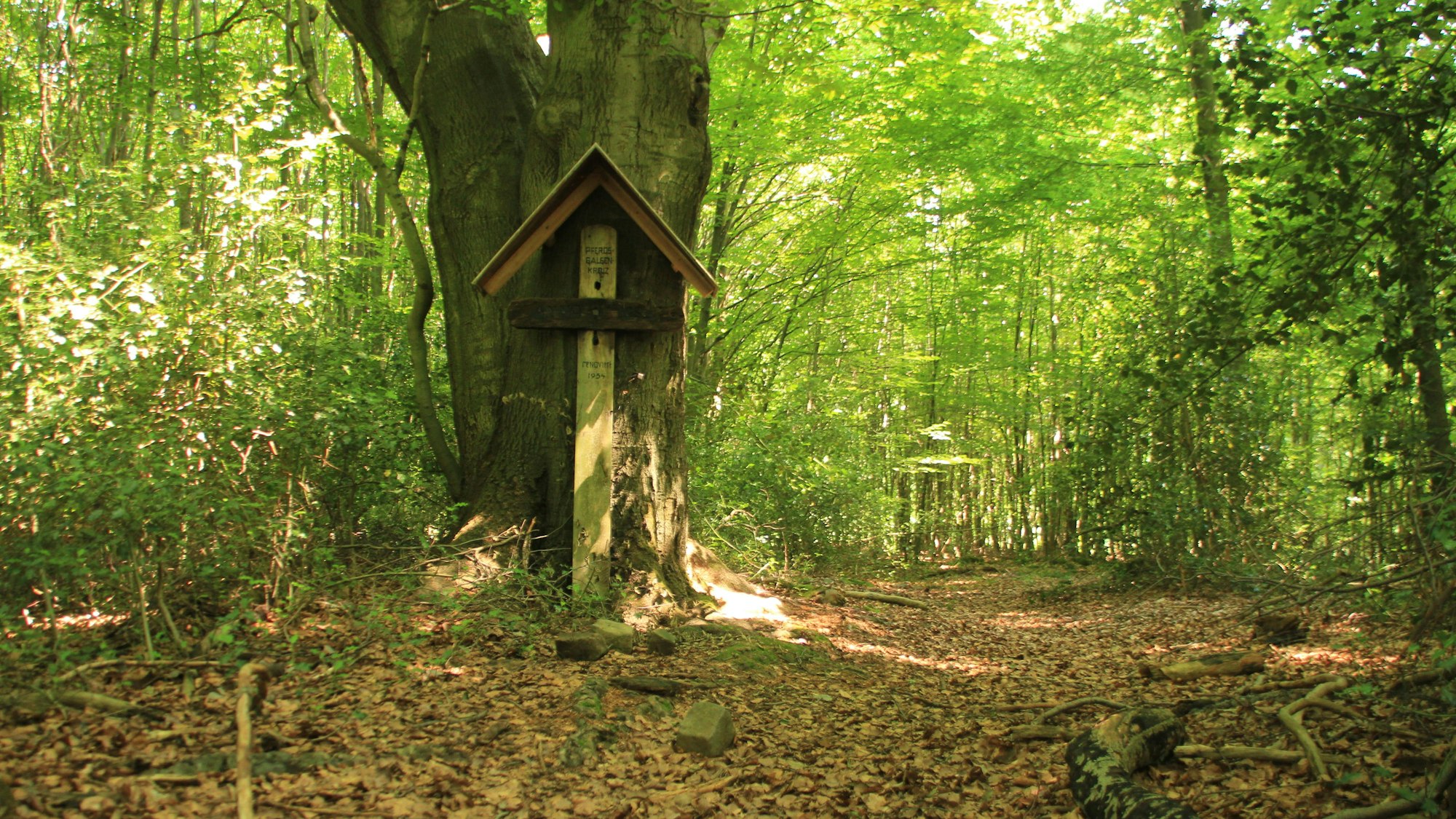 Pferdsgalgenkreuz Siebengebirge von Loga
