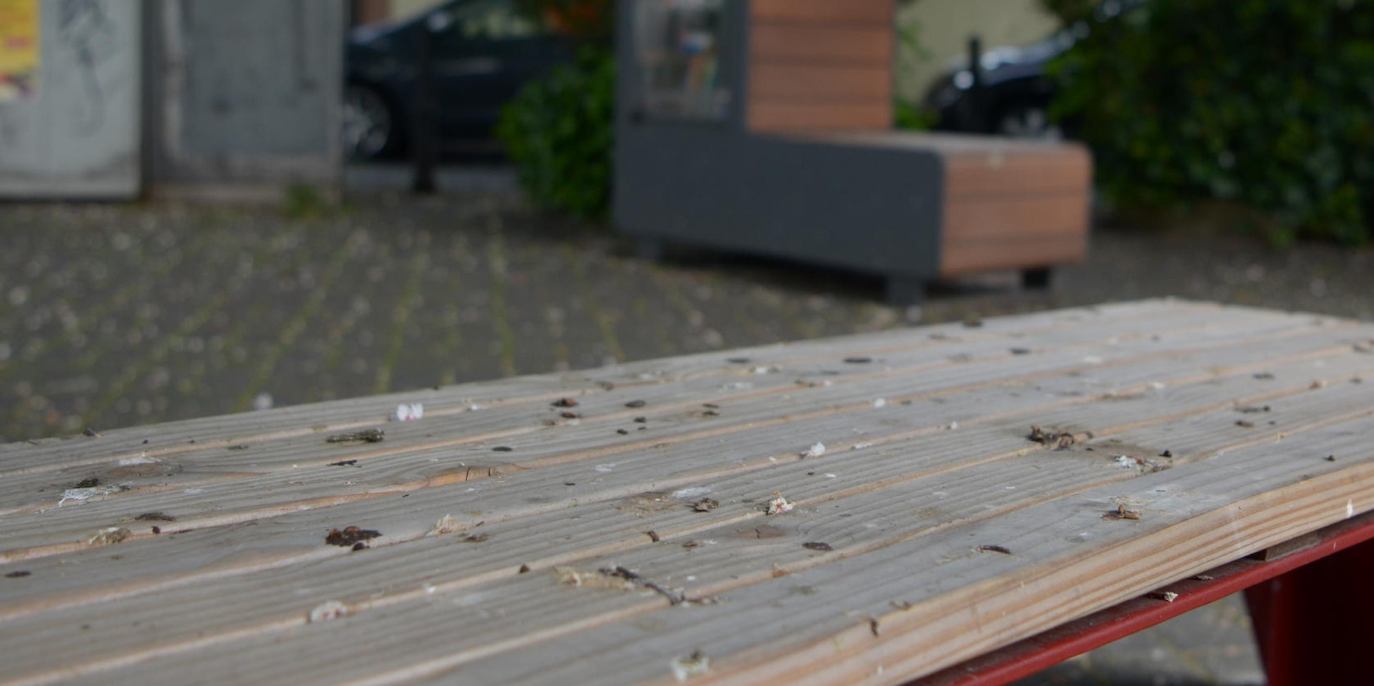 Neuer Inhalt
