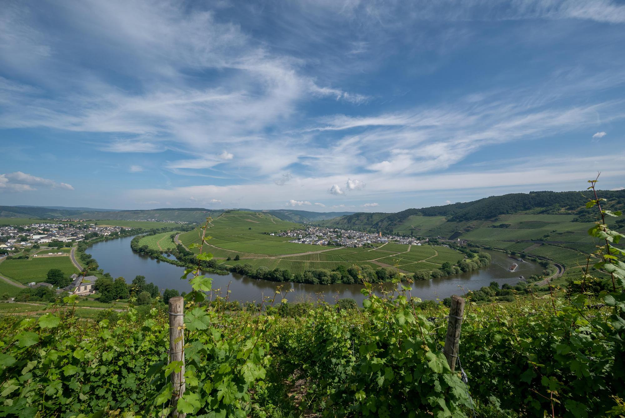 Mosel Sommer