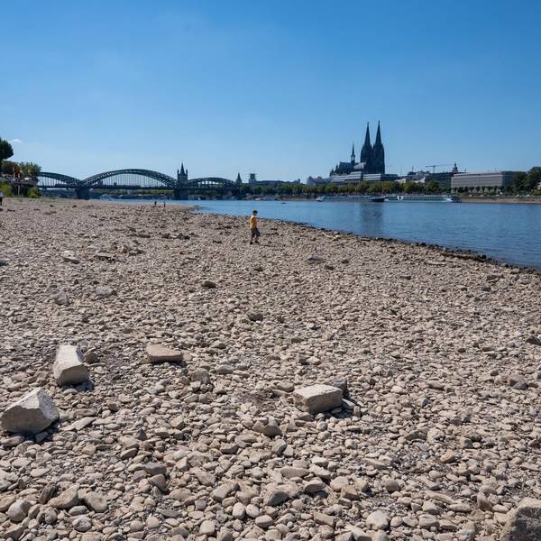 niedrigwasser
