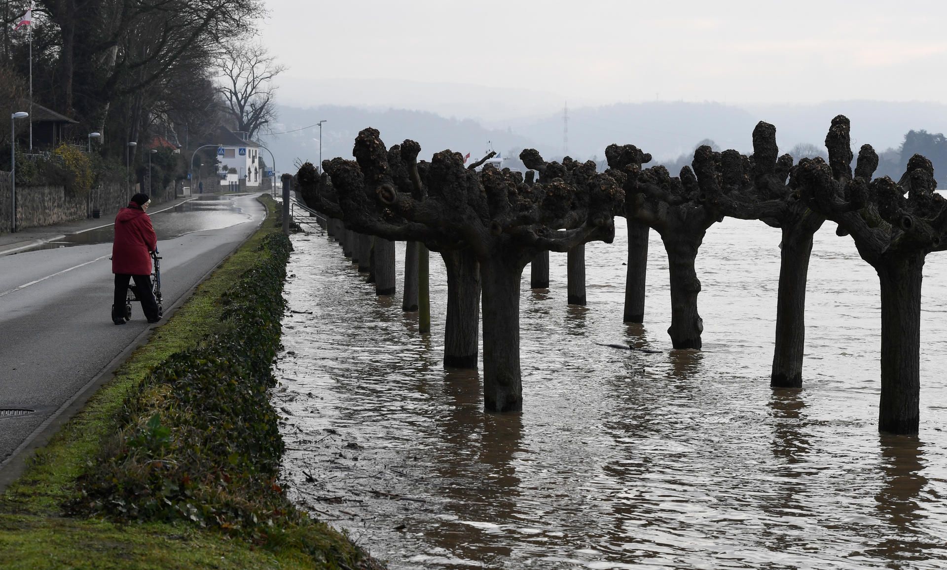 Hochwasser Königswinter 060220