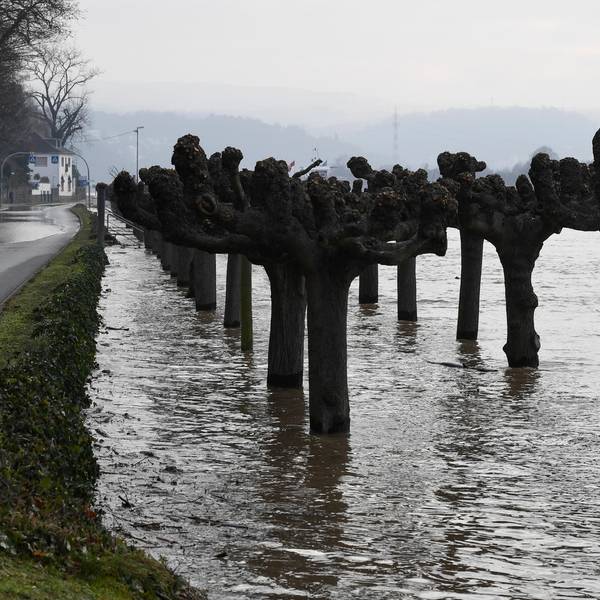Hochwasser Königswinter 060220
