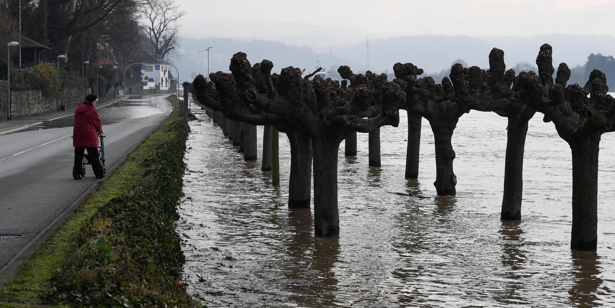 Hochwasser Königswinter 060220