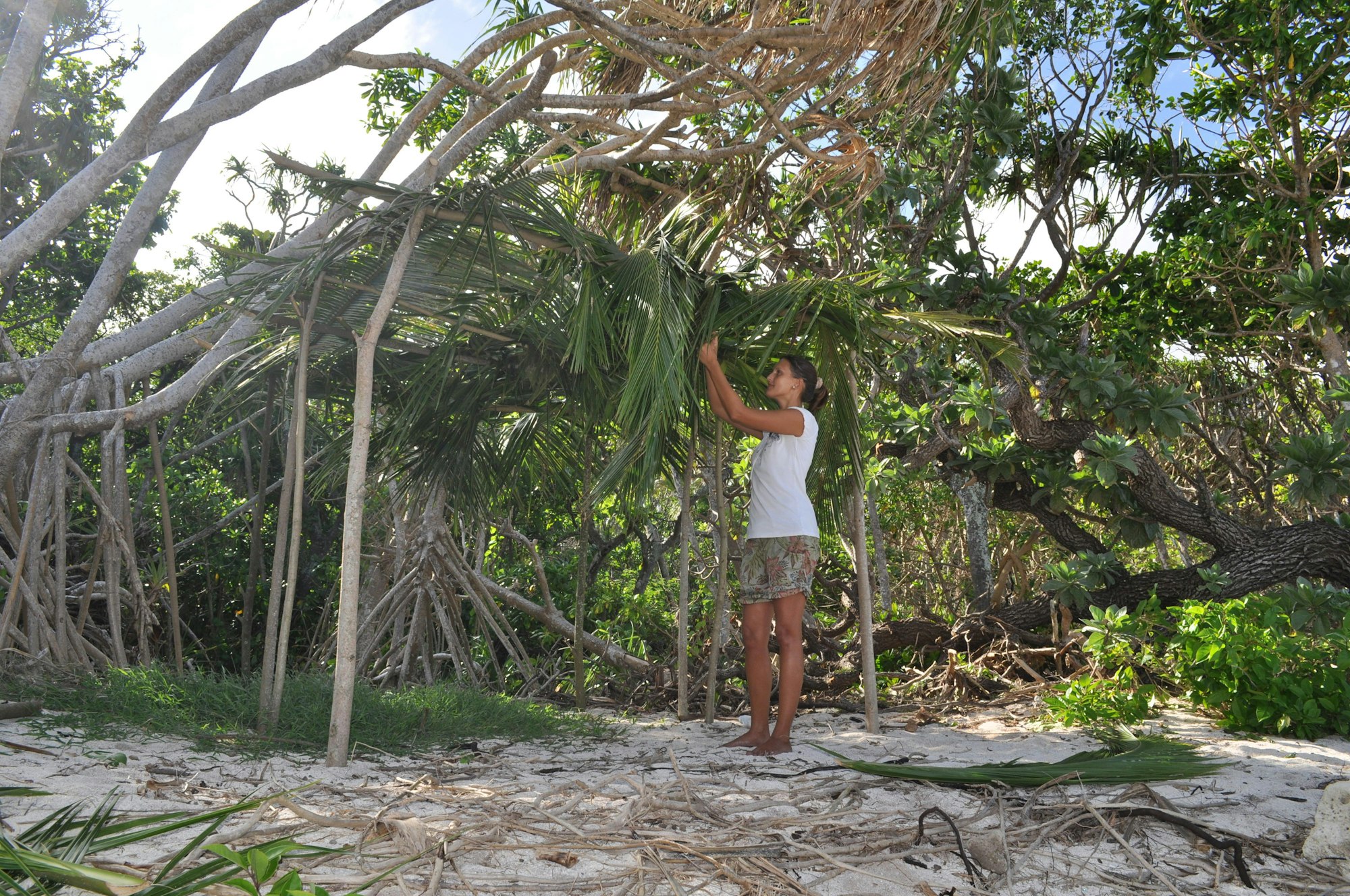 Sonnenschutz bauen (c) Hoffmann